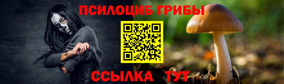 Орёл  Галлюциногенные грибы GOLDEN TEACHER  Вход с VPN  Галлюциногенные грибы мицелий 